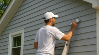 Painter & Painting