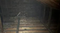 Attic Insulation Removal