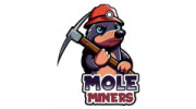 Mole Miners of Louisville
