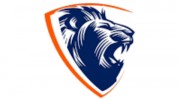 Brave Movers Co.